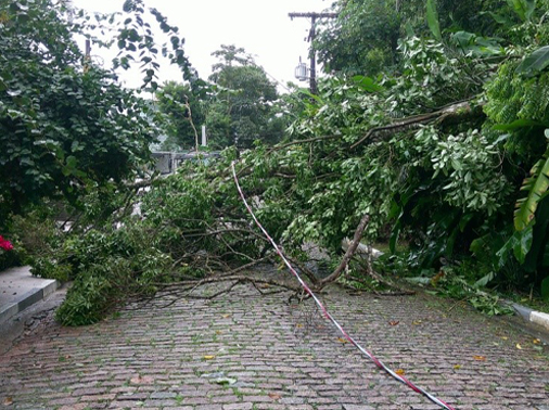 Desobstrução e limpeza rua enchova 1
