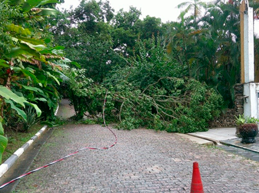 Desobstrução e limpeza rua enchova 2