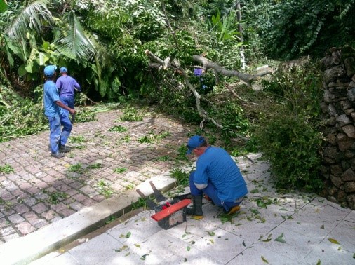 Desobstrução e limpeza rua enchova 3