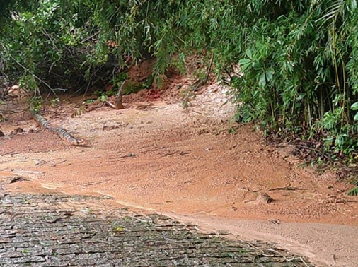 Desobstrução e limpeza rua pescada 3